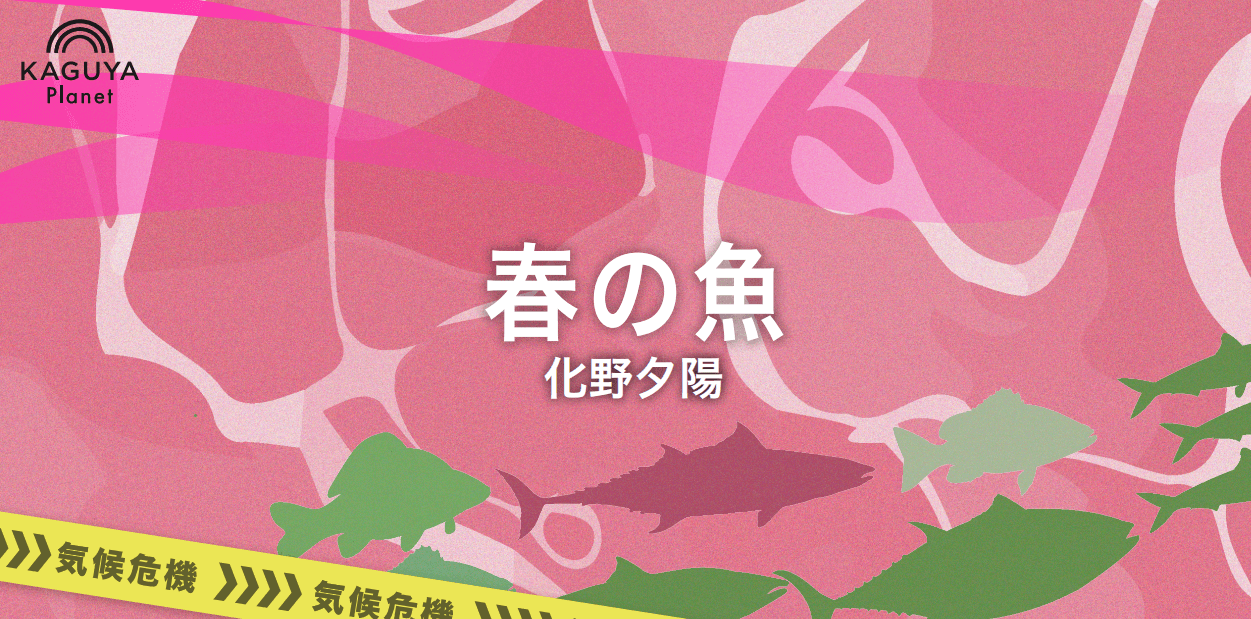 春の魚