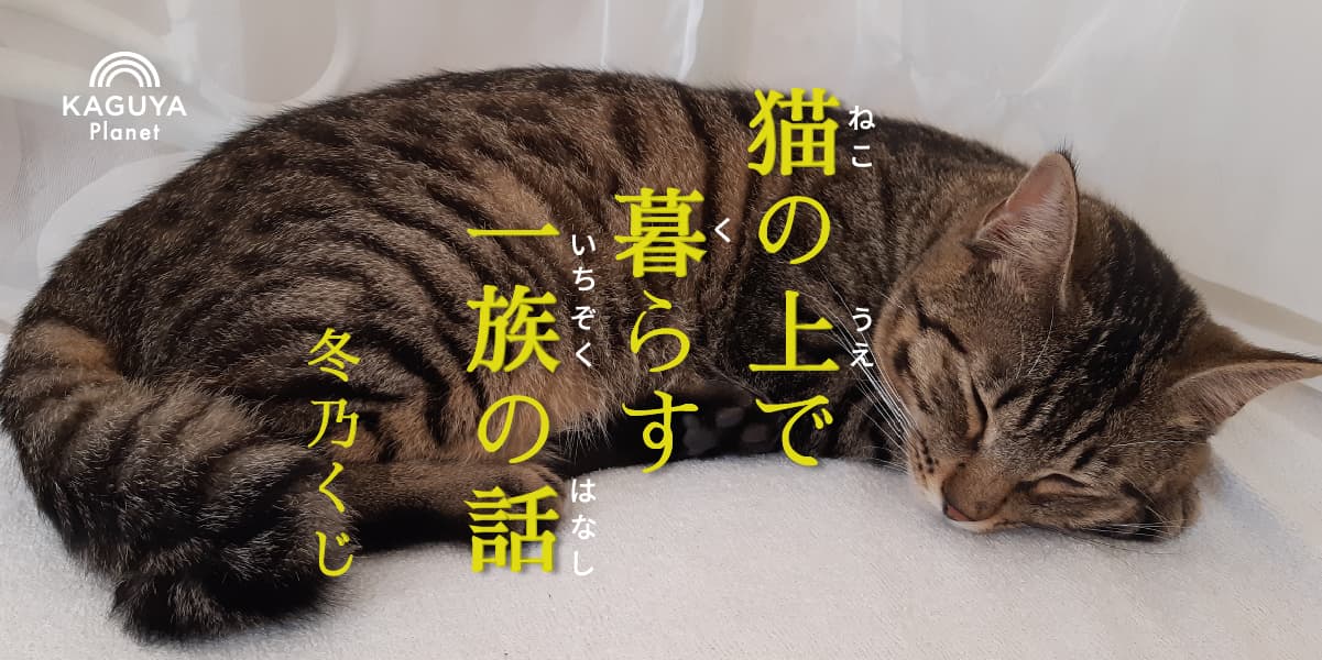 猫の上で暮らす一族の話
